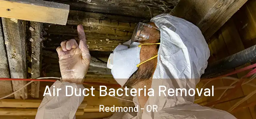 Air Duct Bacteria Removal Redmond - OR