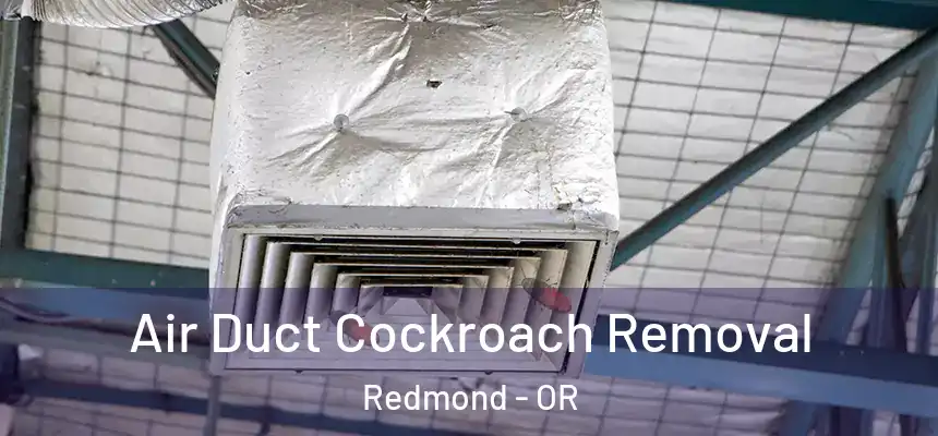 Air Duct Cockroach Removal Redmond - OR