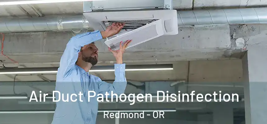 Air Duct Pathogen Disinfection Redmond - OR