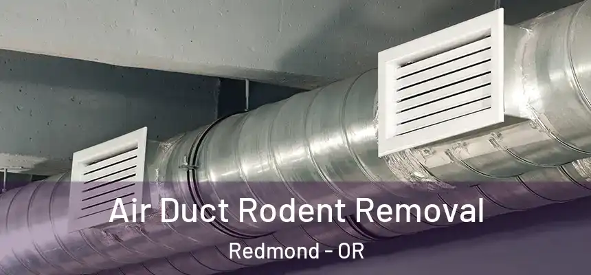 Air Duct Rodent Removal Redmond - OR