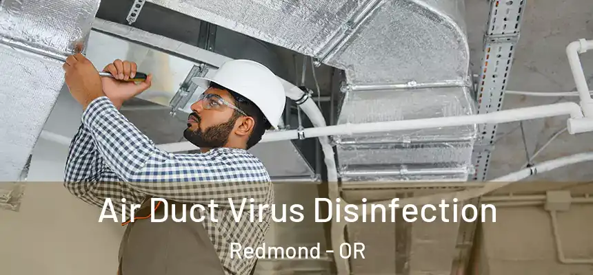 Air Duct Virus Disinfection Redmond - OR