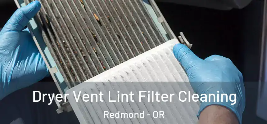 Dryer Vent Lint Filter Cleaning Redmond - OR