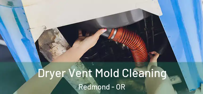 Dryer Vent Mold Cleaning Redmond - OR