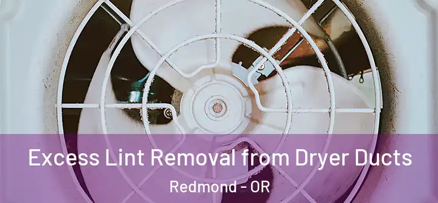 Excess Lint Removal from Dryer Ducts Redmond - OR