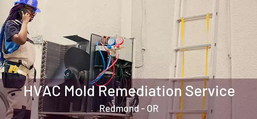 HVAC Mold Remediation Service Redmond - OR