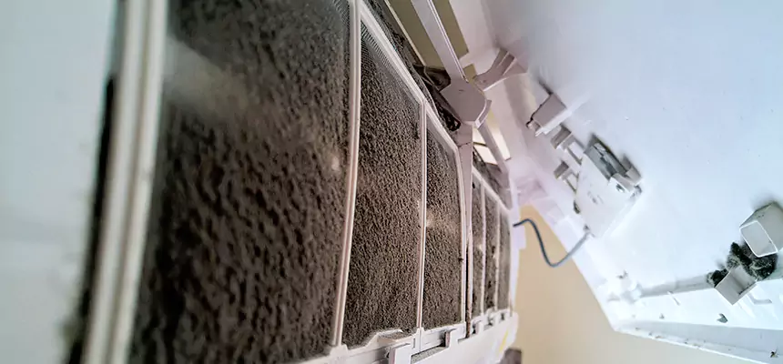 Preventive Air Duct Bacteria Removal in Redmond