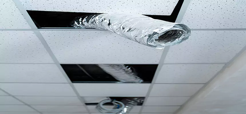 Our Air Duct Pet Hair Removal Services in Redmond, OR