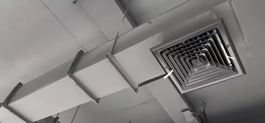 Our Rodent Droppings In Vents Services in Redmond, OR