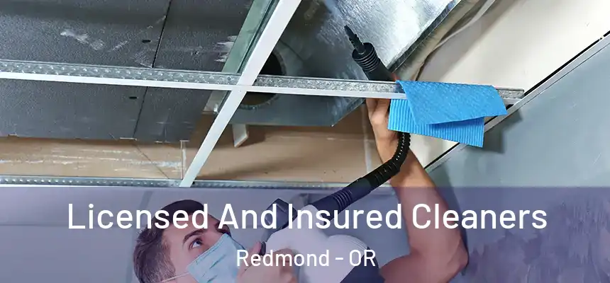  Licensed And Insured Cleaners Redmond - OR