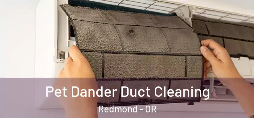 Pet Dander Duct Cleaning Redmond - OR