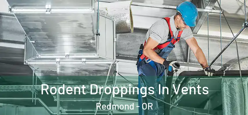 Rodent Droppings In Vents Redmond - OR