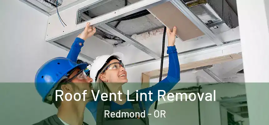 Roof Vent Lint Removal Redmond - OR