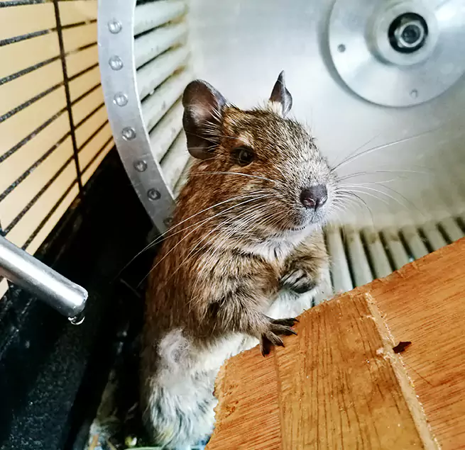 Why Homeowners & Businesses Trust Us Redmond, OR