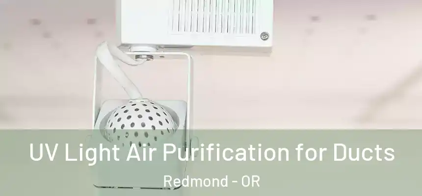  UV Light Air Purification for Ducts Redmond - OR